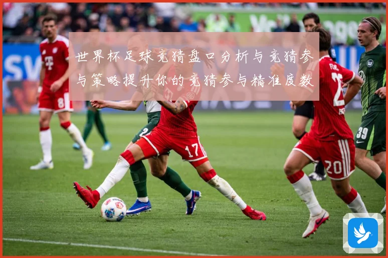 世界杯足球竞猜盘口分析与竞猜参与策略提升你的竞猜参与精准度数据研判