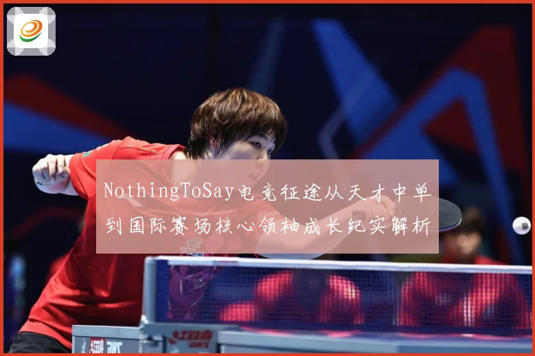 NothingToSay电竞征途从天才中单到国际赛场核心领袖成长纪实解析