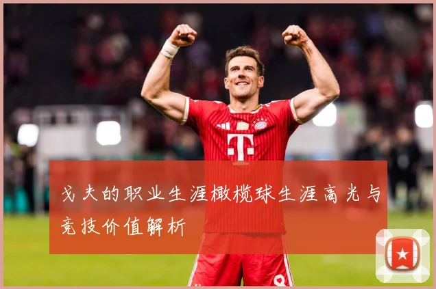 戈夫的职业生涯橄榄球生涯高光与竞技价值解析