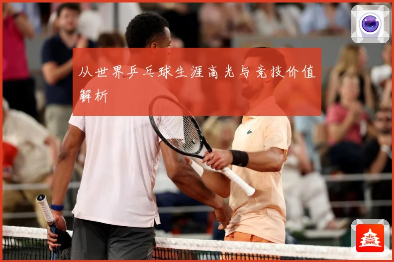 从世界乒乓球生涯高光与竞技价值解析