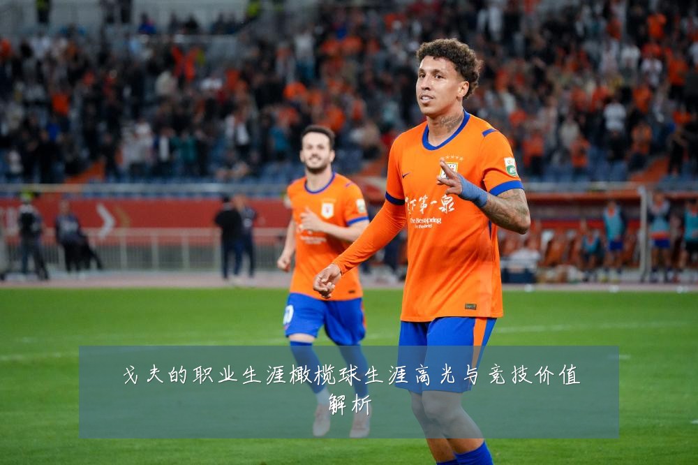 戈夫的职业生涯橄榄球生涯高光与竞技价值解析